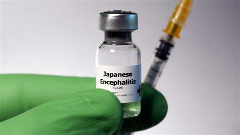 japanische enzephalitis impfung